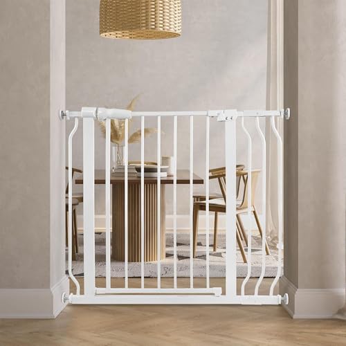 BalanceFrom Easy Walk-Thru Gate