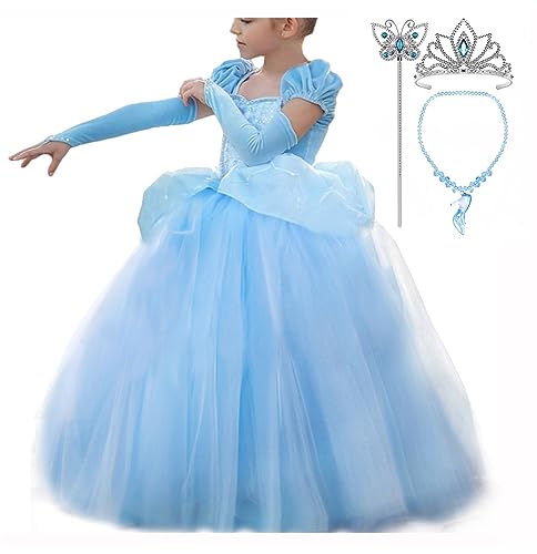 Cinderella Dress Princess Costume