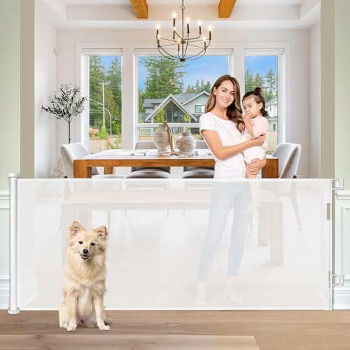 KISKIZ Retractable 65" (Budget)
