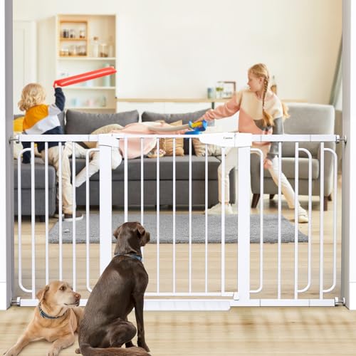 Best Extra-Wide Baby Gates for Large Doorways and Openings (2026)