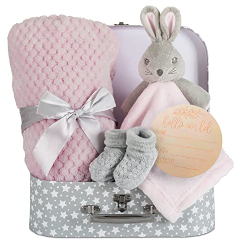 Hoolaroo Pink Bunny Set