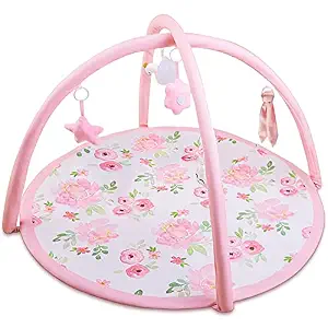 Baby Gym Infant Play Mat (Avrsol)