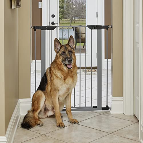 New World 39-Inch Walk-Thru Gate