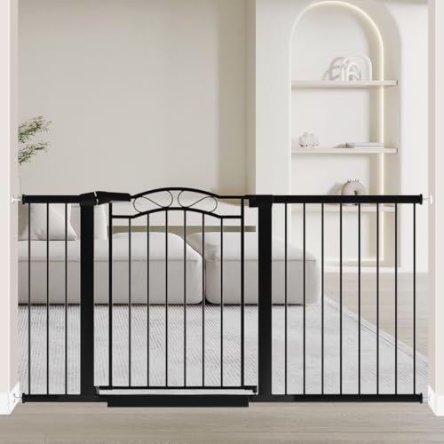 Black Walk-Through Gate