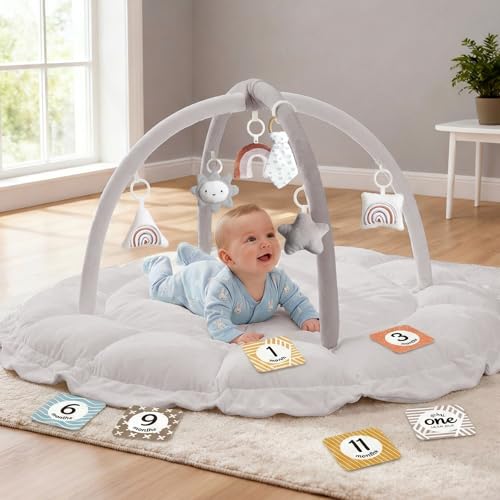 5-in-1 Thick & Plush Baby Play Gym, Baby Play Mats for Floor, Tummy Time Mat with 6 Toys, Cat Bed, Dog Bed, Convertible Stage-Based Developmental from Baby to Toddler, Ball Pit, Pet Cushion Cloudico