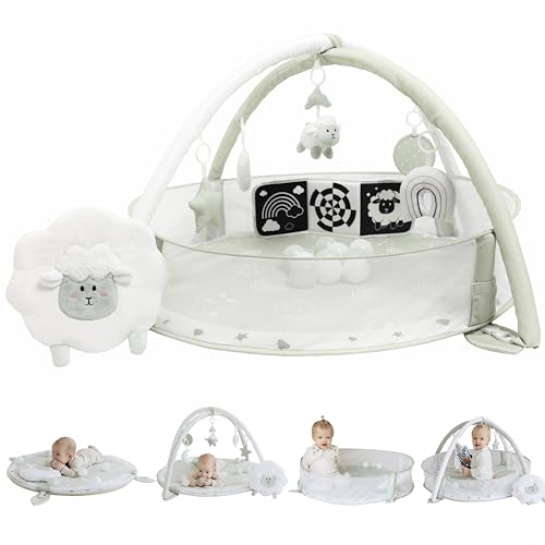 Aila+Aiden 6-in-1 XL (Sage)