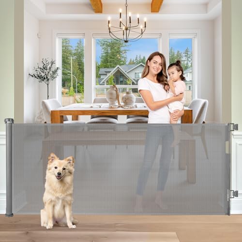 KISKIZ Retractable 65" (Best Value)