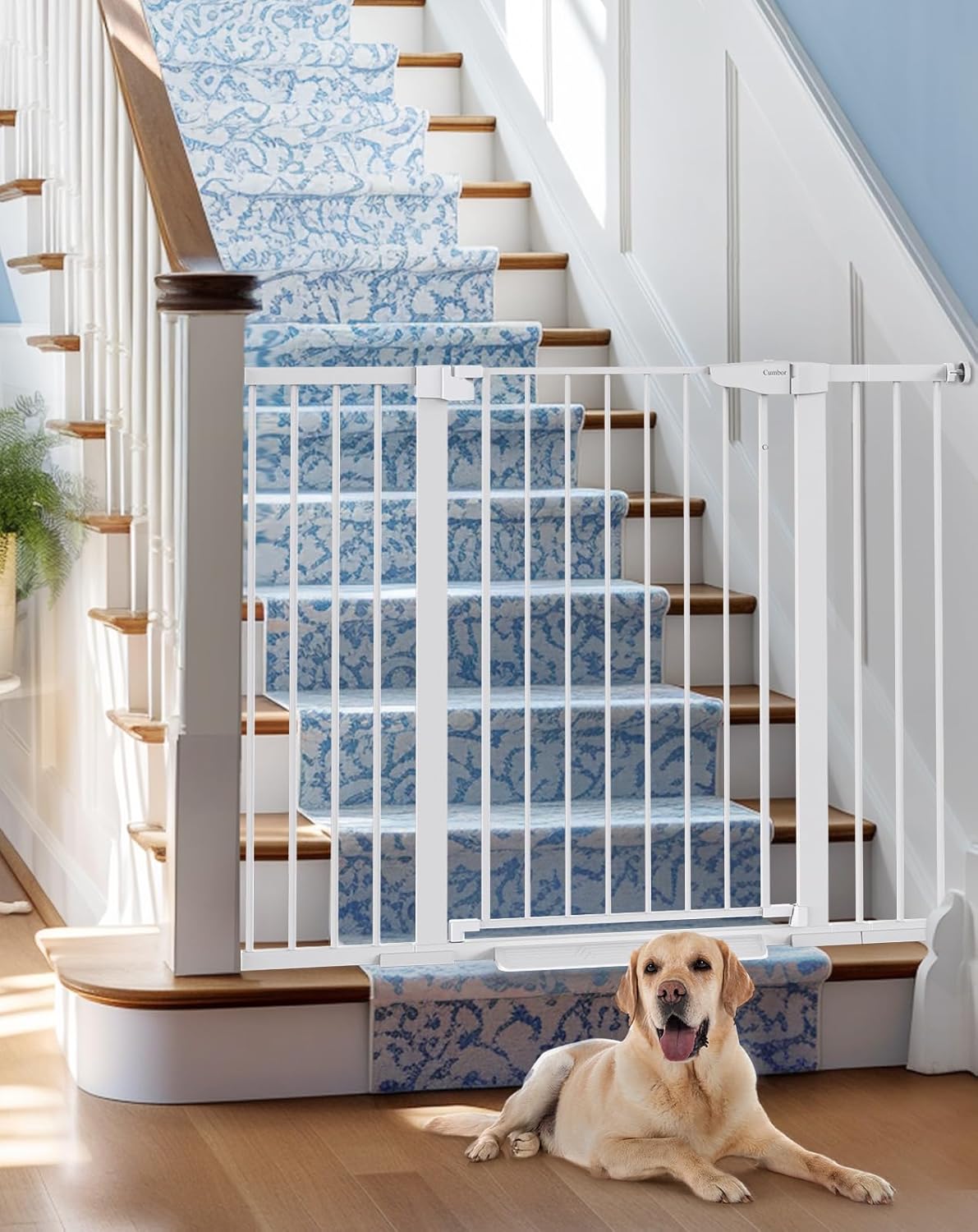 Cumbor 36" Extra Tall (White)