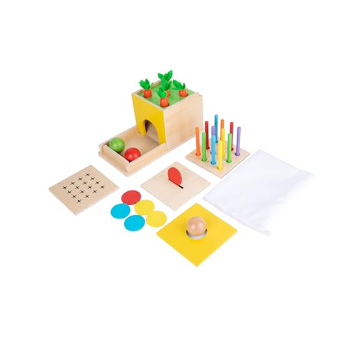 Montessori Toddler Play Kit (5-in-1)