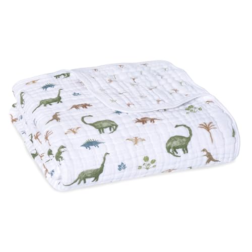 aden + anais Essentials Dream Blanket