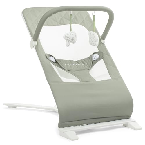 Baby Delight Alpine Bouncer (Organic Sage)
