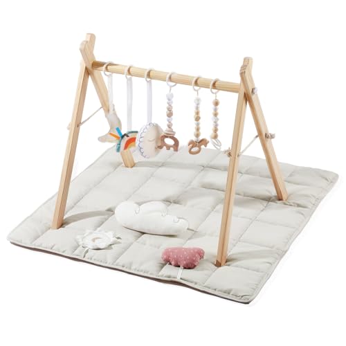 little dove Baby Gym with Mat