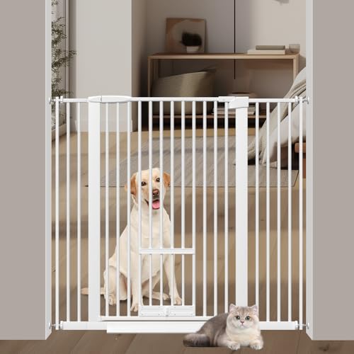 AiWMGL 40.55" Tall Black Metal Gate
