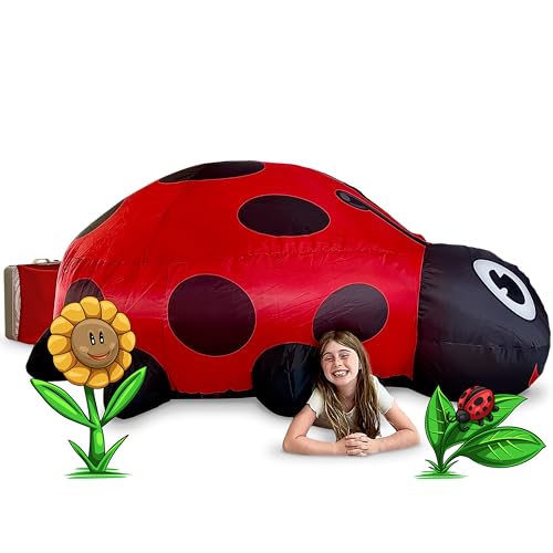 AIR FORT - Ladybug
